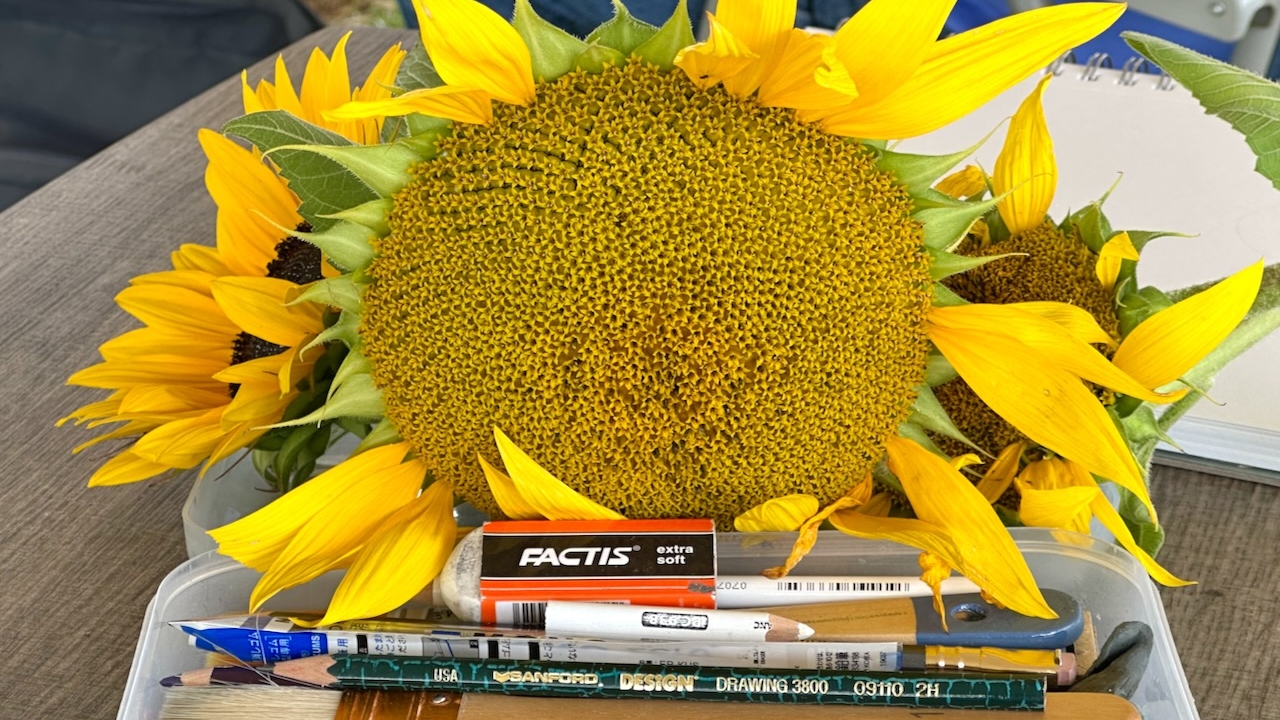 Freshly picked flowers displayed with art supplies