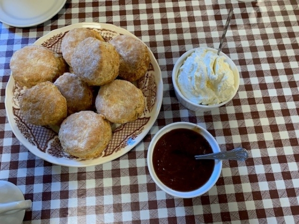 Irish scones with clotted cream and rhubarb-ginger jam