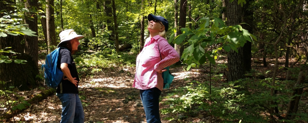 Two members hiking in the woods