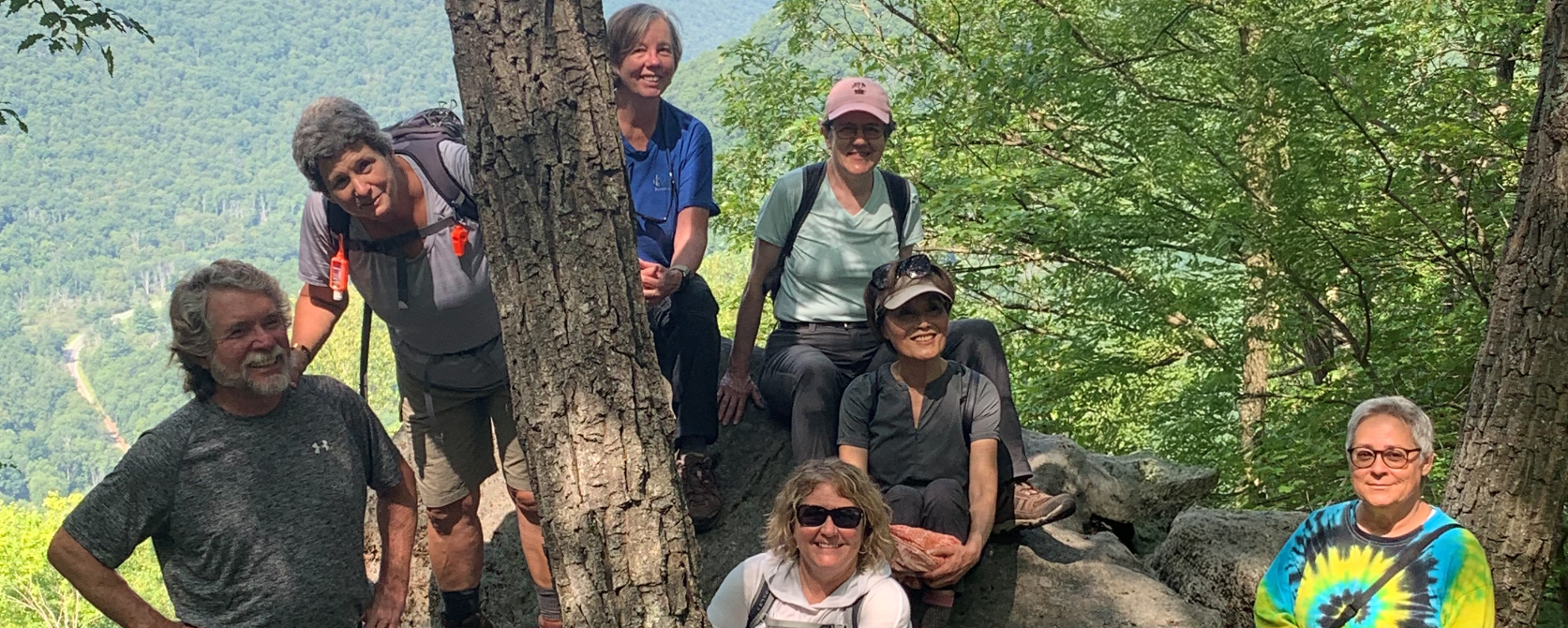 OLLI hiking group in the woods